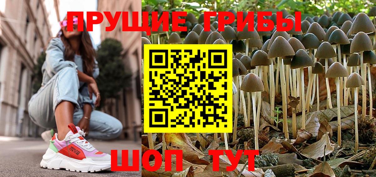 Псилоцибиновые грибы Magic Shrooms Тавда