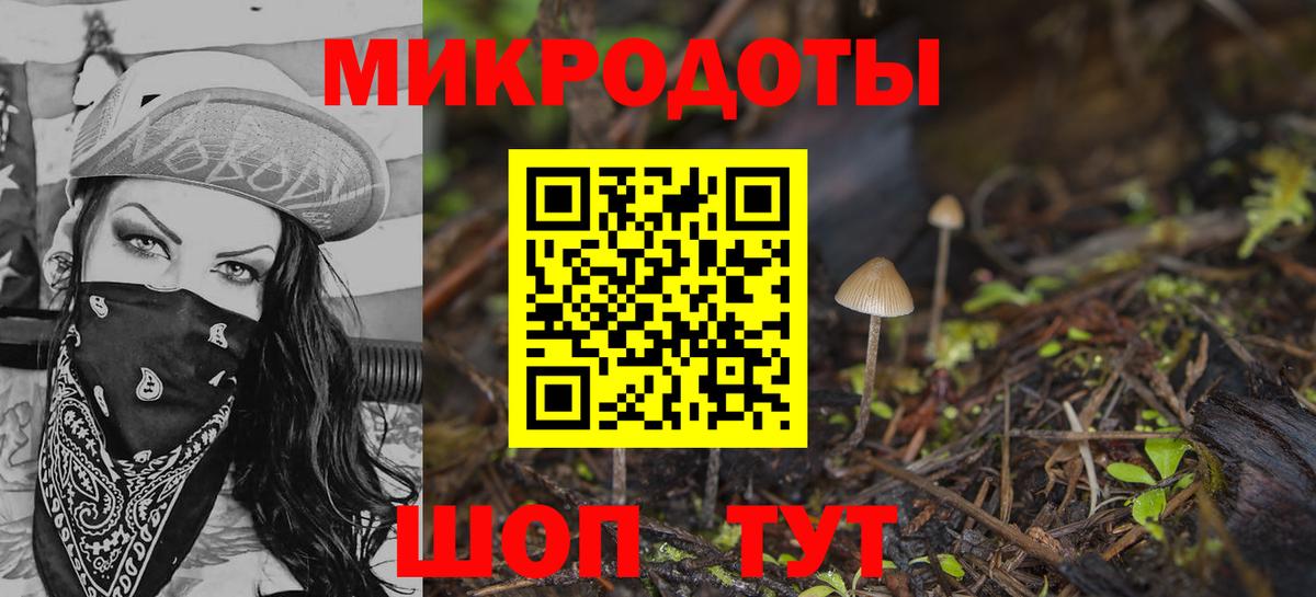 наркота  Галлюциногенные грибы Psilocybe  Тавда  Вход с VPN  Псилоцибиновые грибы мицелий 